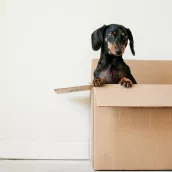 Quelles sont les différentes étapes d’un achat immobilier ?