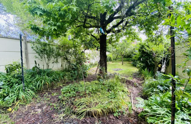 Vente Maison Bordeaux Caudéran