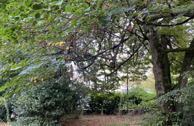 Vente Maison Bordeaux Caudéran