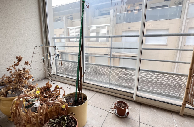 Vente Appartement Bordeaux Saint-Augustin