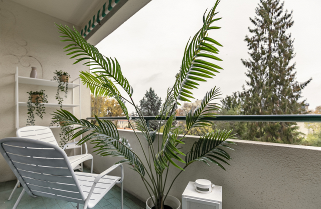 Vente Appartement Bordeaux Centre