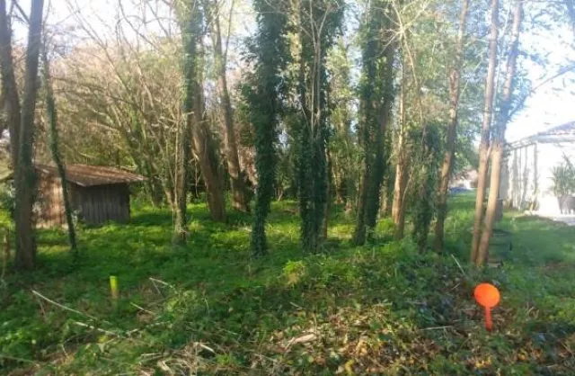 Vente Terrain Le Taillan-Médoc