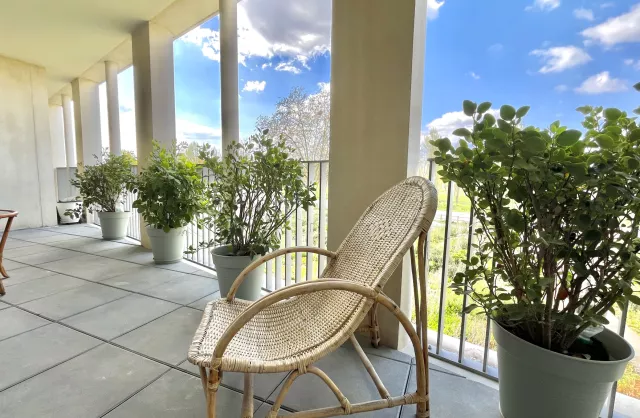 Vente Appartement Bordeaux Centre
