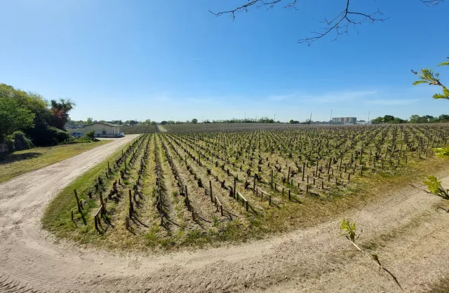 Vente Maison Pessac Talence