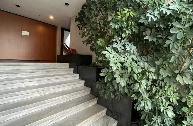 Vente Appartement Bordeaux Saint-Augustin