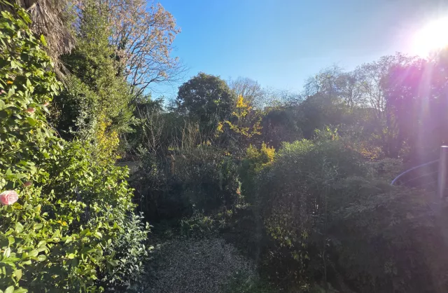 Vente Maison Bordeaux Nansouty