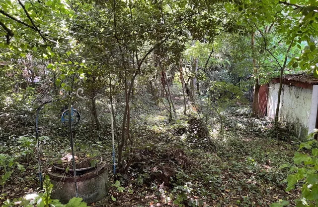 Vente Maison Mérignac