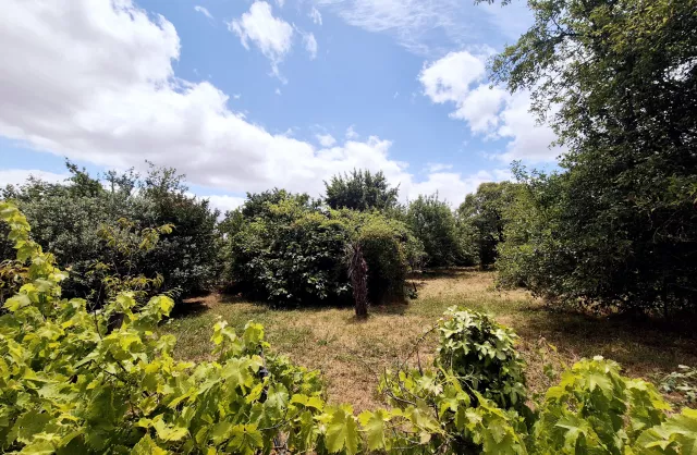 Vente Maison Pessac