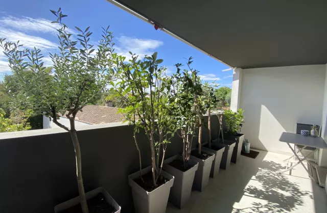 Location Appartement Bordeaux Caudéran