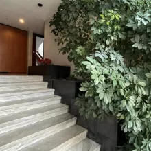 Vente Bureaux Bordeaux Saint-Augustin